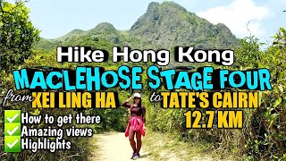 MACLEHOSE STAGE FOUR HIKE HK | KEI LING HA TO TATE'S CAIRN (How to get there, views, highlights)