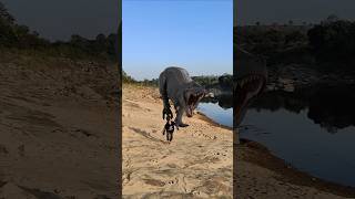 Dinosaur 🦖 attacked kid  funny video#short #viralshort #youtubeshort #ytshort #MAHA VFX