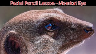 Draw Real Looking Animals! Pastel pencils / Pan Pastel lesson I JasonMorgan.co.uk