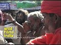 Sadhus smoking chillums during Amarnath yatra