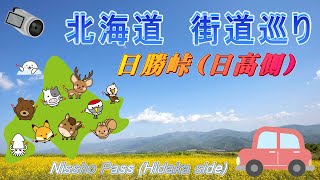 日勝峠（日高側）　Nissho Pass Hidaka side