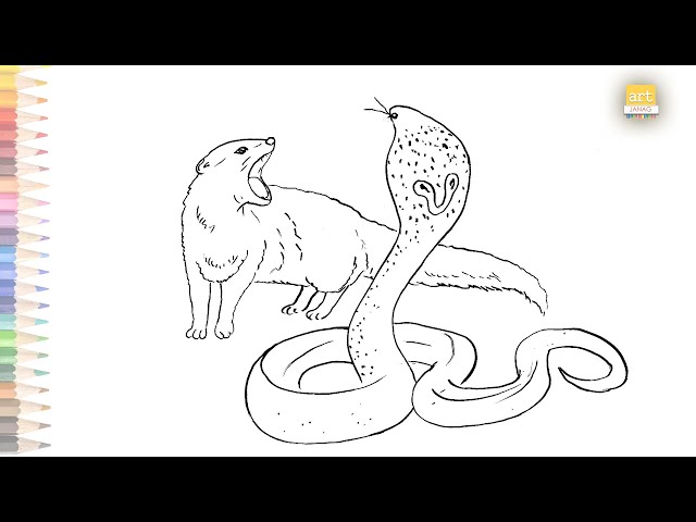 Mongoose Vs Cobra Drawing Cobra Vs Mongoose рџђќ Made By