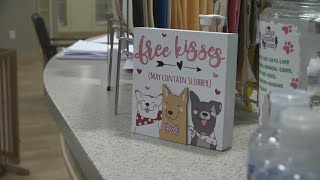 Bangor man gives back on Valentine's Day with free pet adoptions