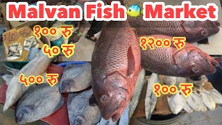 Malvan Fish Market | Wholesale Fish Market | मालवण फिश मार्केट