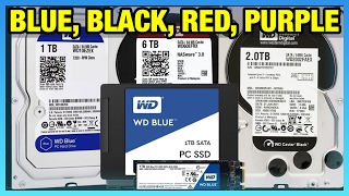 WD Blue vs. Black vs. Red \u0026 Purple HDD \u0026 SSD Differences (2017)