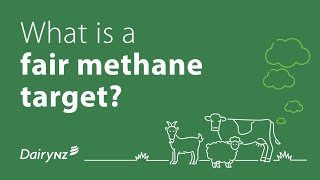 What is a fair methane target?