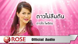 ดาวไม่ลืมดิน - ดาวใจ ไพจิตร (Official Audio)