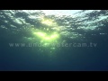 beautiful video of the sun shining through the oceans surface  sun028