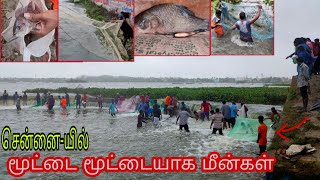 Fishing in Lake Nanmangalam | Chennai Vlog | Nivar Cyclone Aftermath