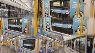 【即中首次影大熊貓入南區的主題列車】南港島綫 S-Train A505/A506 上行及下行金鐘來往海怡半島 (大熊貓主題列車)