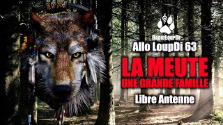 Allo LoupDi 63 - La Meute... Une Grande Famille... - Libre Antenne.