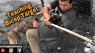 Dutchie Learning Bicep Target. Bitework.