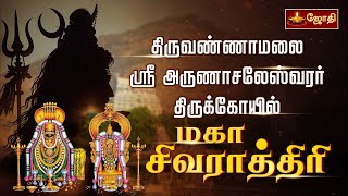 திருவண்ணாமலை ஸ்ரீ அருணாசலேஸ்வரர் கோயில் - மகா சிவராத்திரி | Annamalaiyar Temple | Jothitv