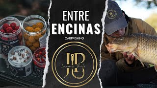 ENTRE ENCINAS | LUXURYBAITS CARPFISHING