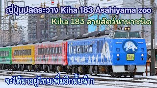 ญี่ปุ่นปลดระวาง Kiha 183 Asahiyama zoo แล้ว! [Kiha ลวดลายสัตว์] จะได้มาอยู่ไทยเพิ่มอีกมั้ยน๊าา