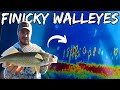 5 Tips for Finicky Walleyes | How to Catch Walleyes During the Dog Days