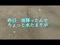 【キャンプ】夏の涼しいサーカス最強スタイル。愛媛県西条市トリム公園無料キャンプ場