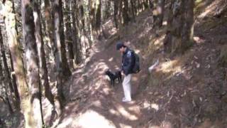 Hike to Lungchutse Temple in Bhutan.