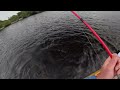 zero to mayhem scary manatees florida fishing from kayak and shore