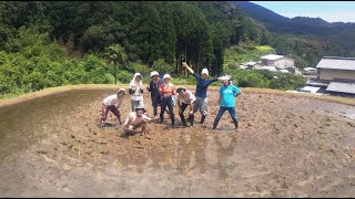 田んぼの準備と田植え【２年目の田んぼ②】