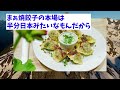 【朗報】ヌートバー、チャーハンと餃子を絶賛！！いや、それ中華なんよｗｗｗｗｗ【2ch 5ch なんj 反応】