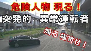 迷惑運転者たち　No.1203　危険人物　現る！・・突発的　異常運転者・・【トレーラー】【車載カメラ】煽る　　幅寄せ！・・