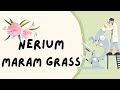 As Biology Practical  (9700) Nerium & Maram grass slides (Arabic & English)