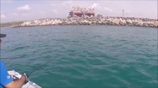 FEED POPPER SALT 08 İLE KUZU AVI-ALİ CÖMERTPAY-(Topwater amberjack fishing-RELEASED)