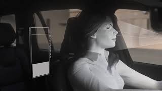 In-car cameras and intervention against intoxication, distraction Animation