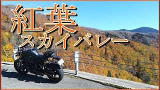 紅葉ツーリング[ﾓﾄﾌﾞﾛｸﾞ#22]GSR750