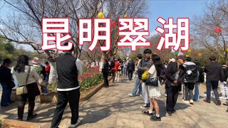 男子闲逛到云南昆明翠湖 尝试翻译海鸥的语言