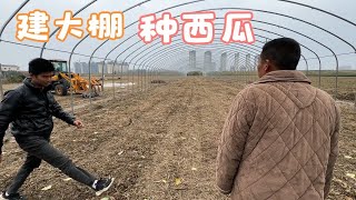 农村小伙建大棚种西瓜，今天过来参观，这轻钢骨架真结实，带劲！【我的农村365】