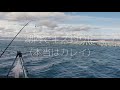 【釣り】2020ラスト｜キス釣り｜浜名湖