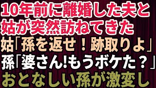 【スカッとする話】10年前に離婚した元夫と姑が突然訪ねてきた！養育費も不払いなのに姑「孫返して！跡取りよ」孫「婆さんもうボケた？」→おとなしかった孫が激変した結果