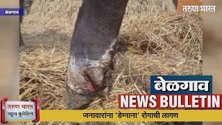 बेळगाव न्यूज बुलेटिन | Belgaum News Bulletin | 28-02-2022