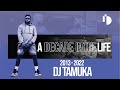 A Decade In The Life | Episode 2- DJ Tamuka(2013-2022)