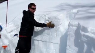 Crusts, Facets, Surface Hoar, Avalanches, Cooke City - 7 Mar 2016