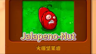 火爆坚果墙 Jalapeno-Nut