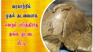 வரலாற்றில் முதல் தடவையாக - எவரும் பார்த்திராத தங்க முட்டை மீட்பு