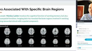 REPLAY Webinar "Cognitive testing or how to measure the brain performances", NeurofeedbackLuxembourg