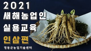 2021 새해농업인실용교육 인삼편