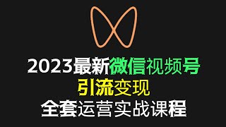 👏👏2023最新微信视频号引流变现全套运营实战课程，视频号运营，视频号直播带货，视频号怎么玩怎么赚钱？#创业 #赚钱 #网赚项目 #vip