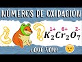 📝 NÚMEROS de OXIDACIÓN (estados de oxidación o valencia) Cationes y Aniones