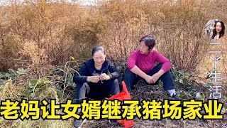 老妈想让女婿放弃北京修车工作，回家继承猪场，二丫却一口拒绝【二丫生活】