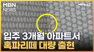 입주 3개월 아파트 단지서 혹파리떼 대량 출현…\