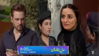 Dil-e-Nadan Episode 42 Teaser - Dil-e-Nadan EP 42 Promo - 31 Dec 2024 - Har pal Geo drama Review