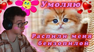 ОлешаБолтает №12 | Хочу завести котёнка | Шумные соседи | Электросамокаты