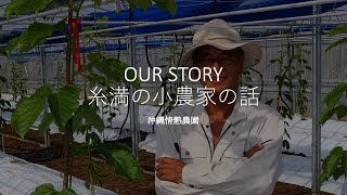 おいしいパッションフルーツの秘密 -沖縄情熱農園の裏話-