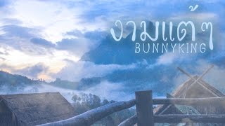 BUNNYKING - \