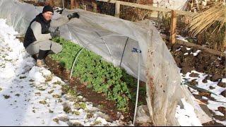 Braving the Cold: Base Principles for Successful Winter Farming